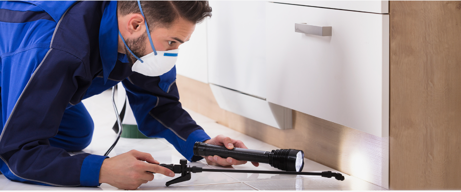 Columbiana pest xpert removal